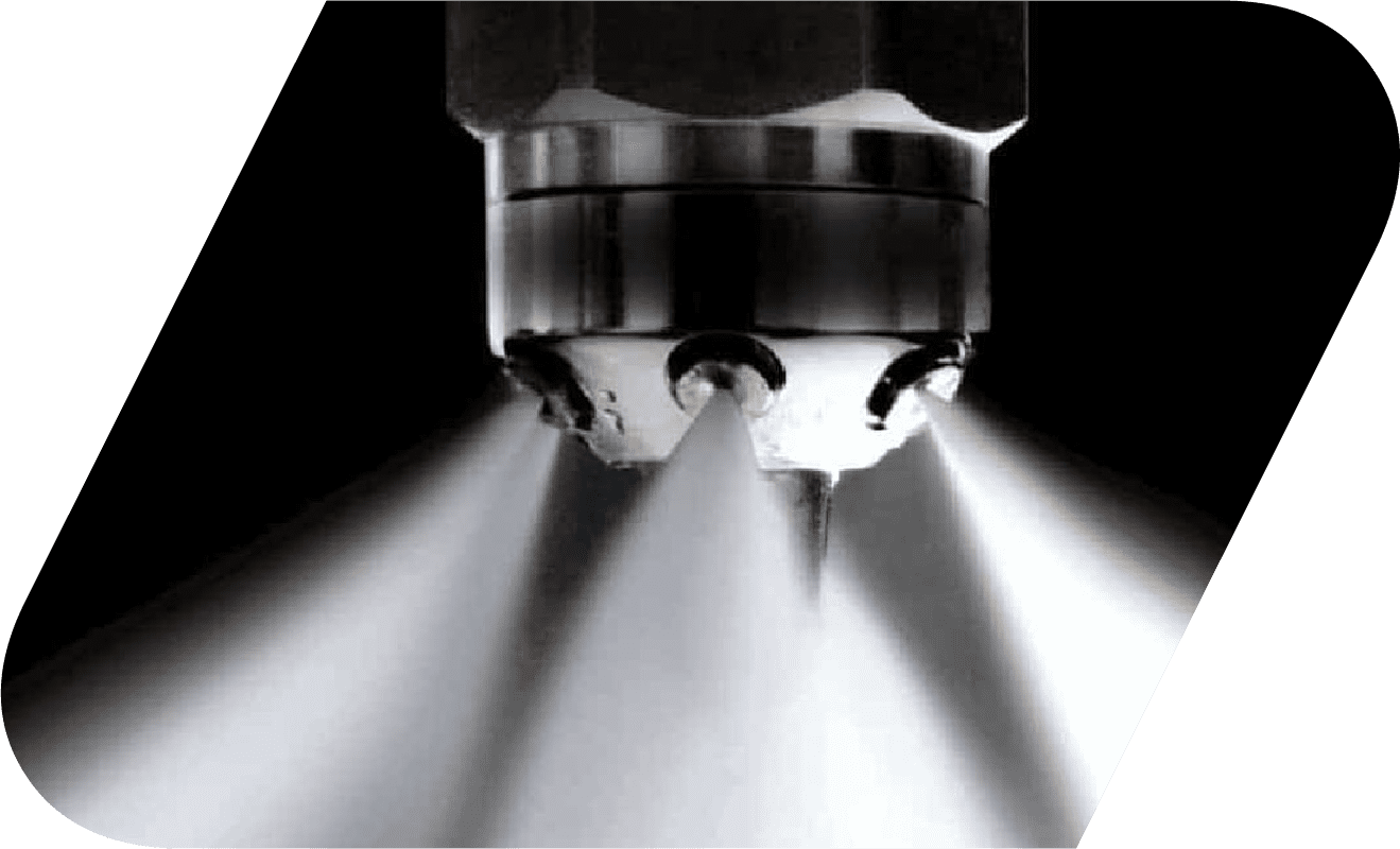 EA-RS Group asset and site protection services