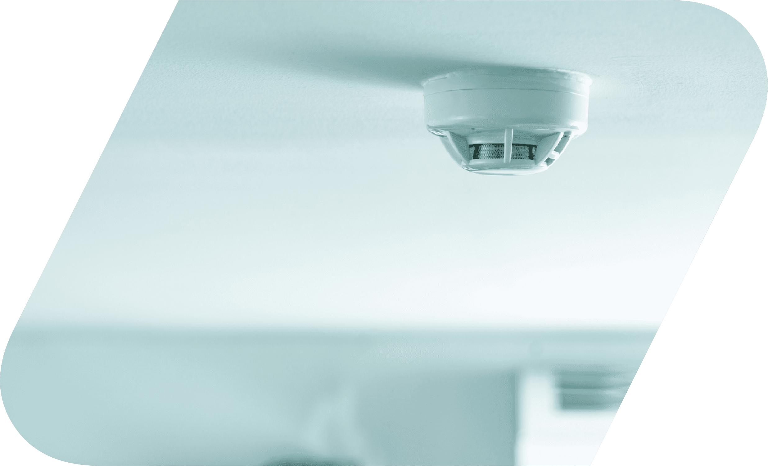 EA-RS Group asset and property protection services