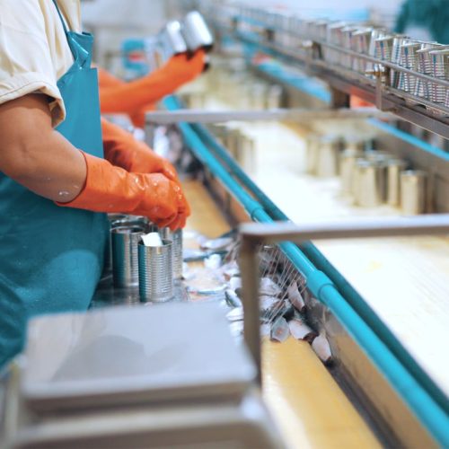 Worker In Protective Glove Preparing Fish And Seafood.